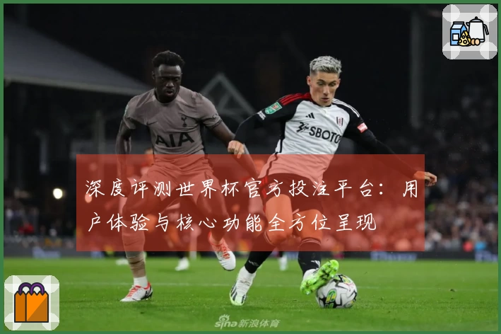 深度评测世界杯官方投注平台：用户体验与核心功能全方位呈现