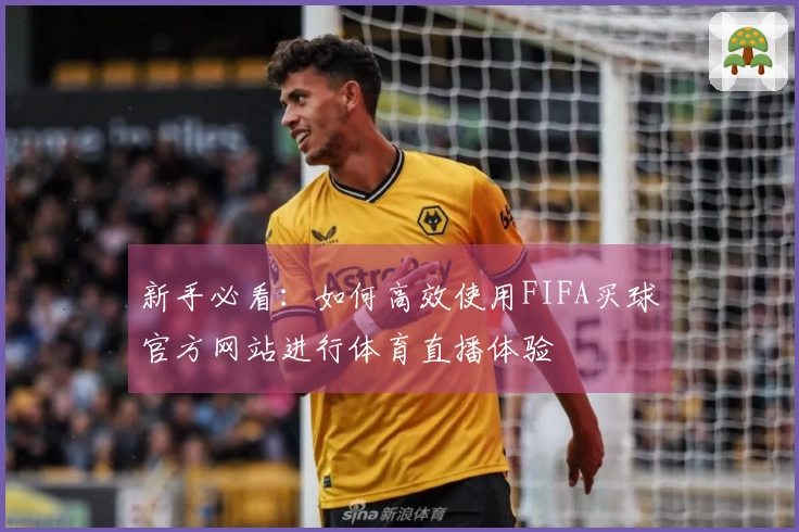 新手必看：如何高效使用FIFA买球官方网站进行体育直播体验
