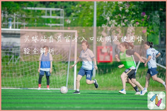 买球站首页官方入口说明及使用体验全解析