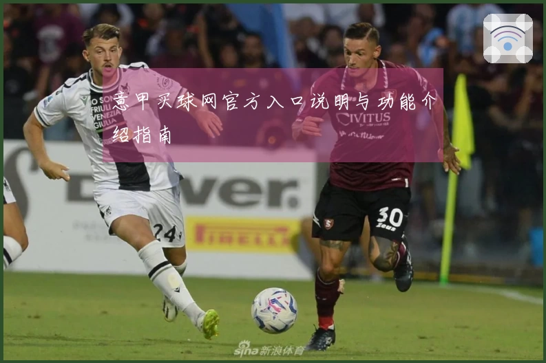 意甲买球网官方入口说明与功能介绍指南