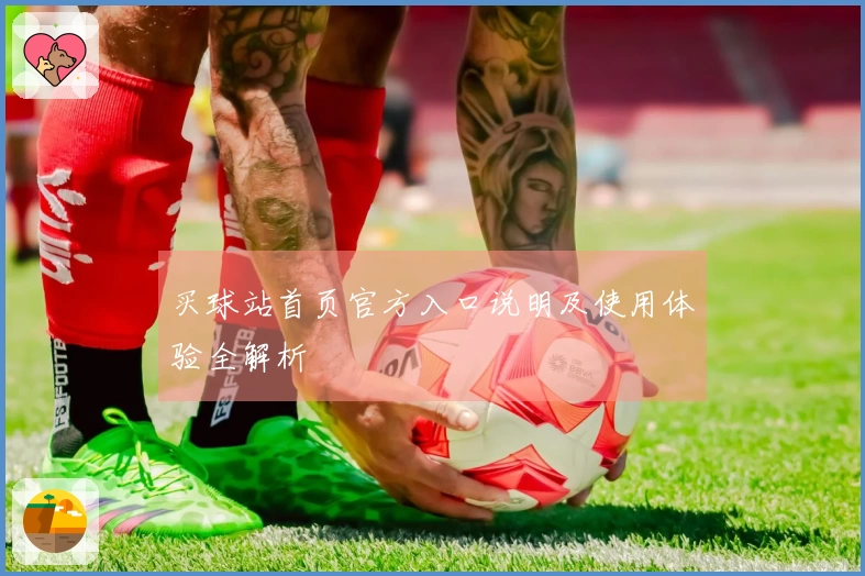 买球站首页官方入口说明及使用体验全解析